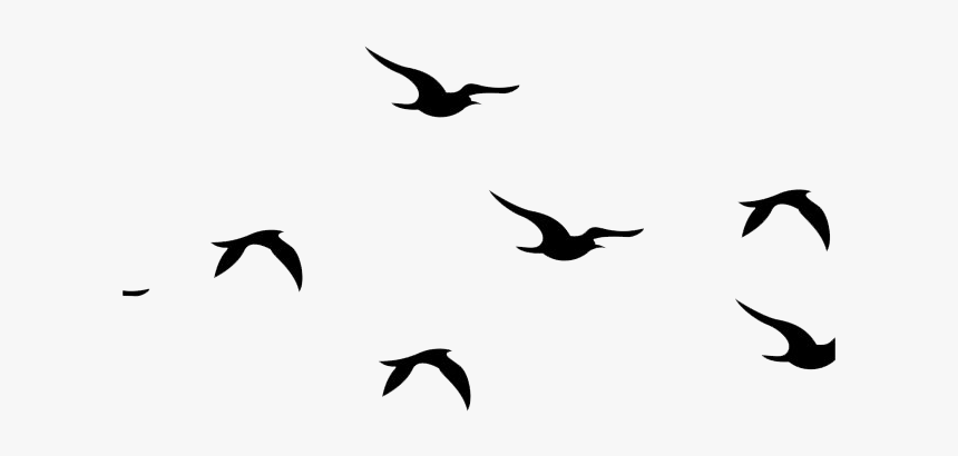 Flying Bird Png, Transparent Png