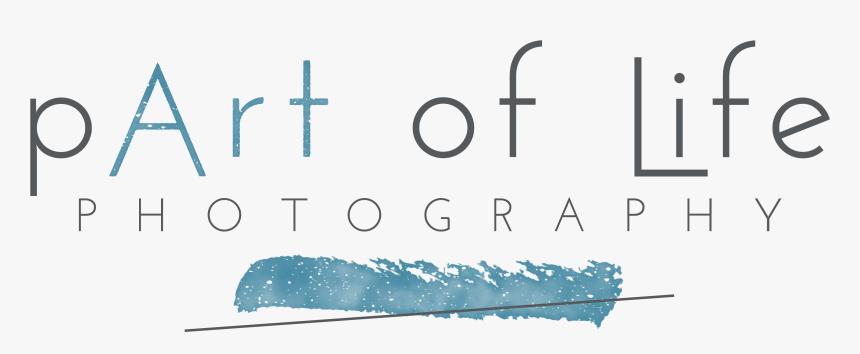 Big Bright Light Show Rochester Mi Photographer, HD Png Download