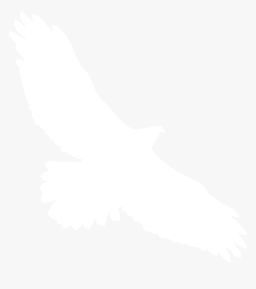 Hawk Silhouette Png, Transparent Png