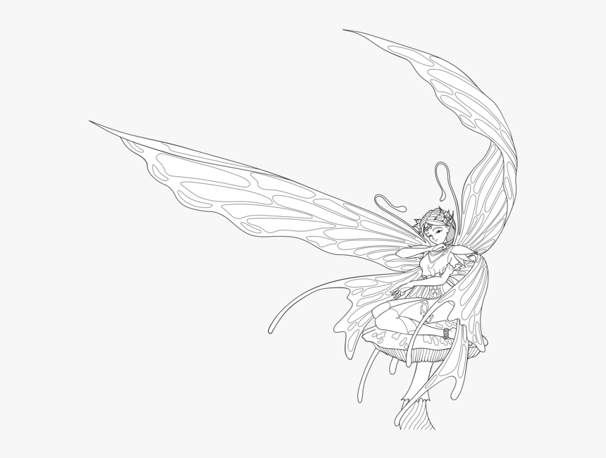 Transparent Fairy Wings Png, Png Download