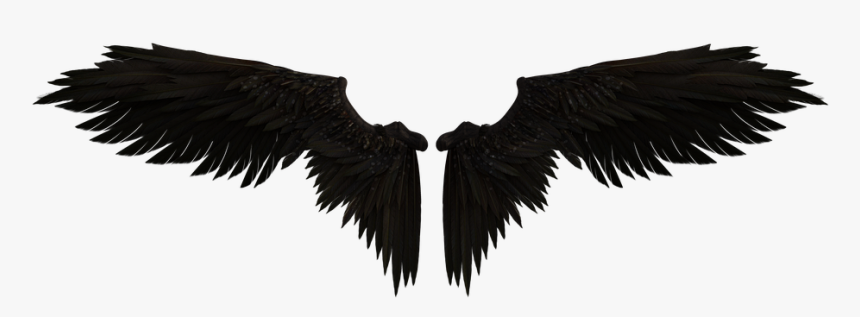 Fairy Wings Png, Transparent Png