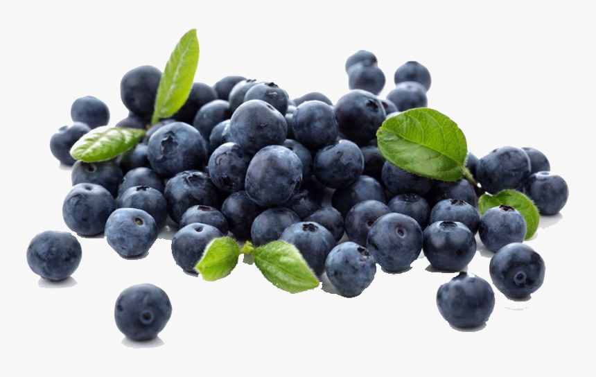 Transparent Blueberry Png, Png Download