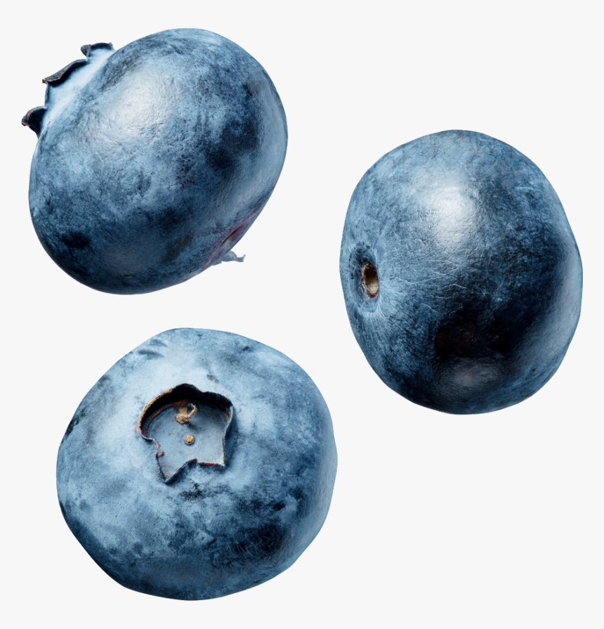 Blueberry Png Image, Transparent Png