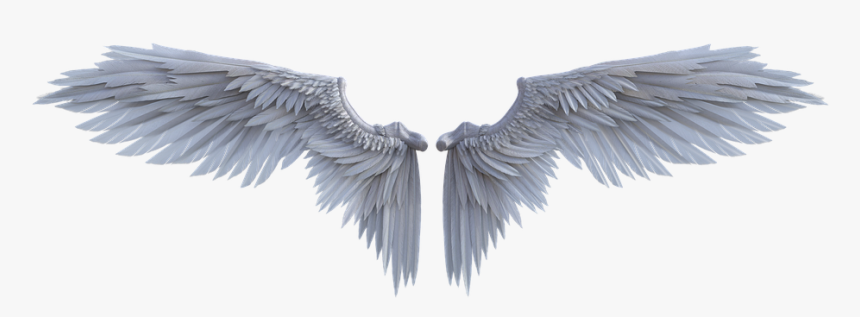 Fairy Wings Png, Transparent Png
