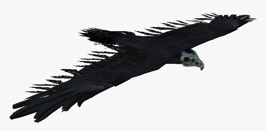 Skyrim Bone Hawk , Png Download, Transparent Png