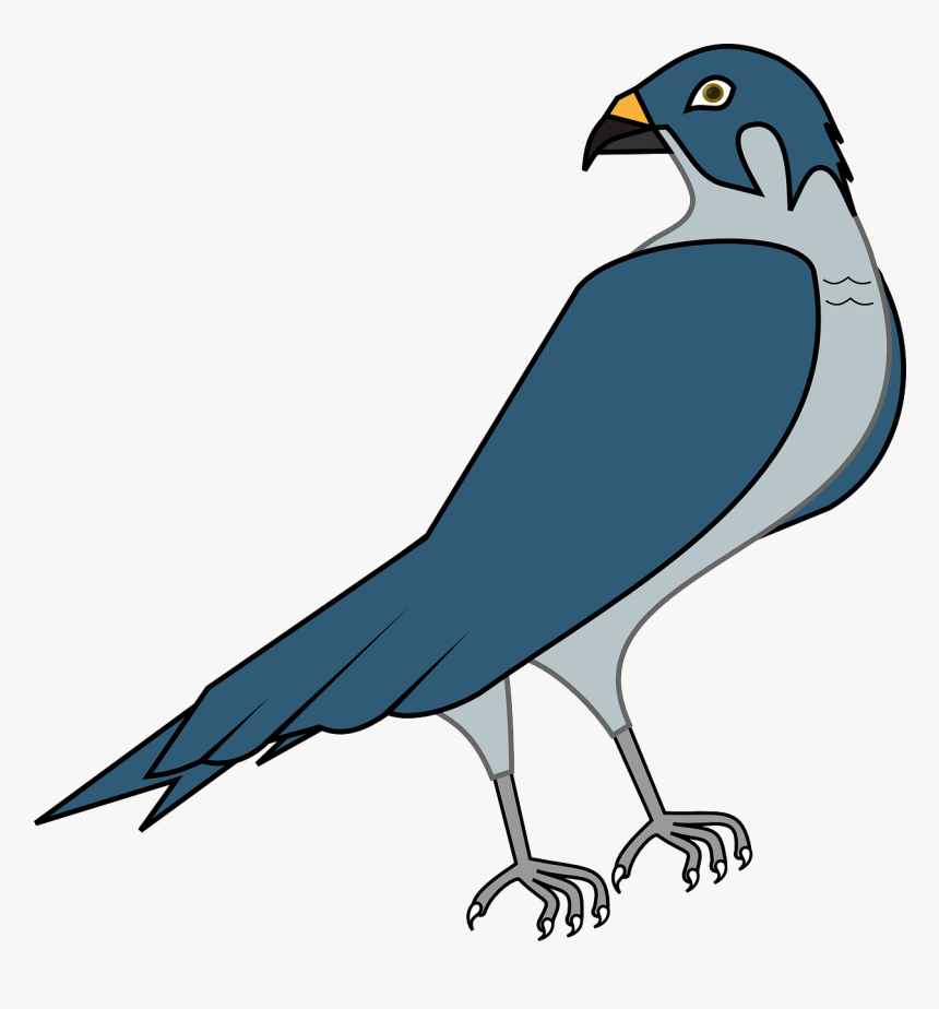 Hawk Png, Transparent Png