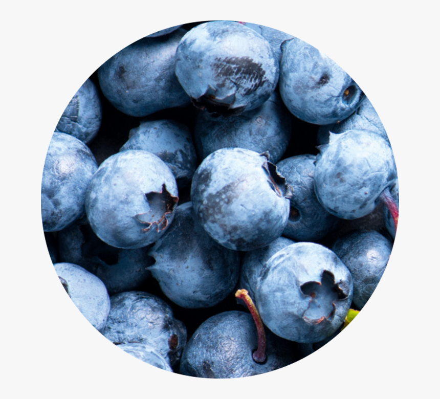 Fruit Acid From Blueberry Wirkstoff Fruit Ac, HD Png Download
