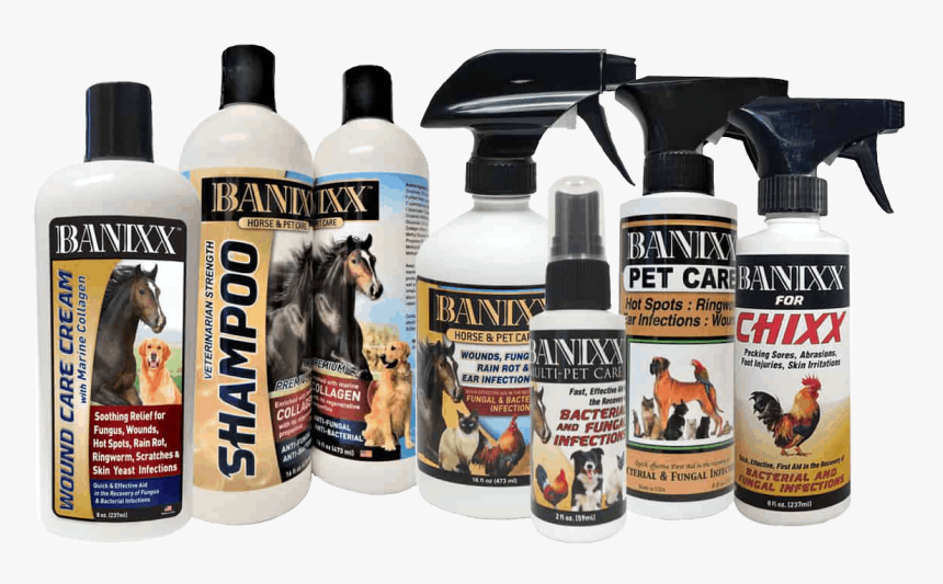 Image, HD Png Download