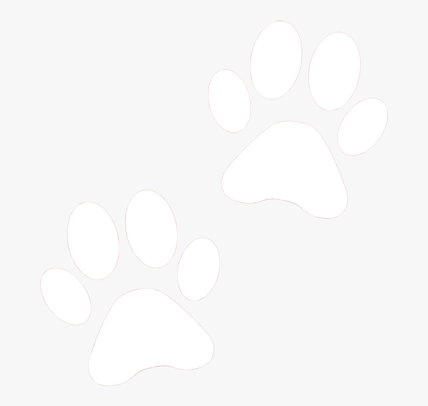 Dog Paw Png, Transparent Png