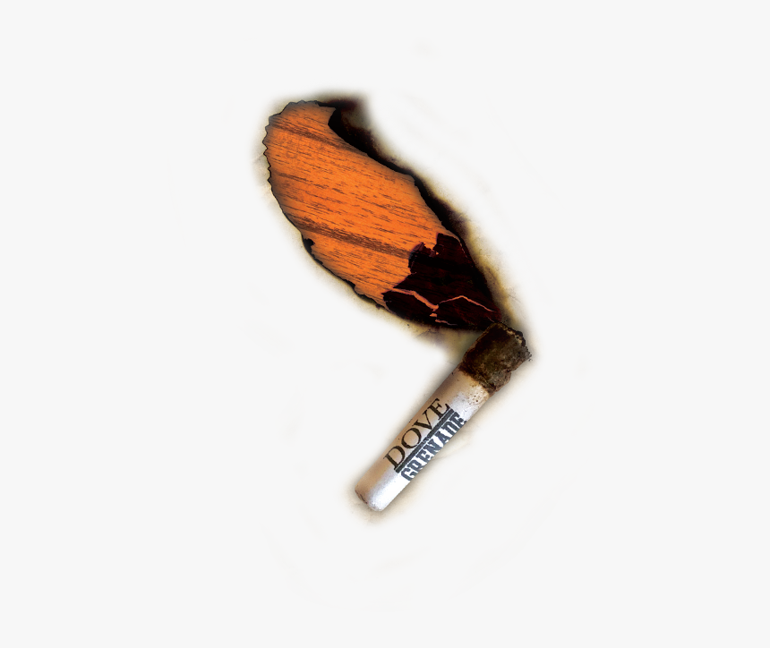Roach Alone5, HD Png Download