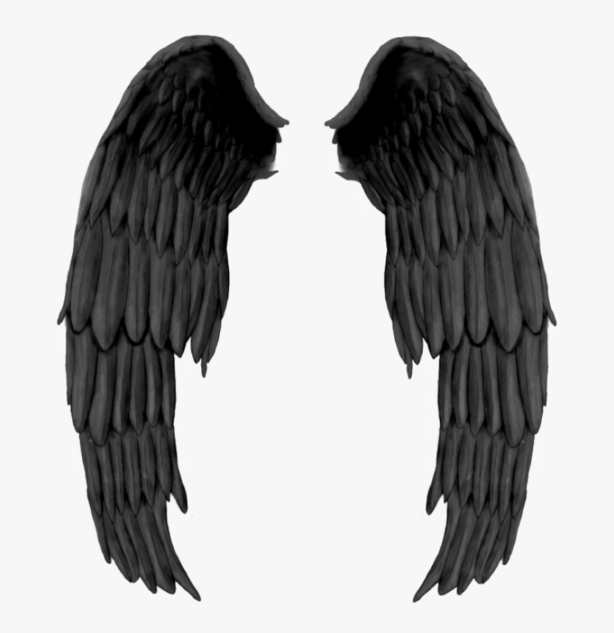 Black Wings Png Image, Transparent Png