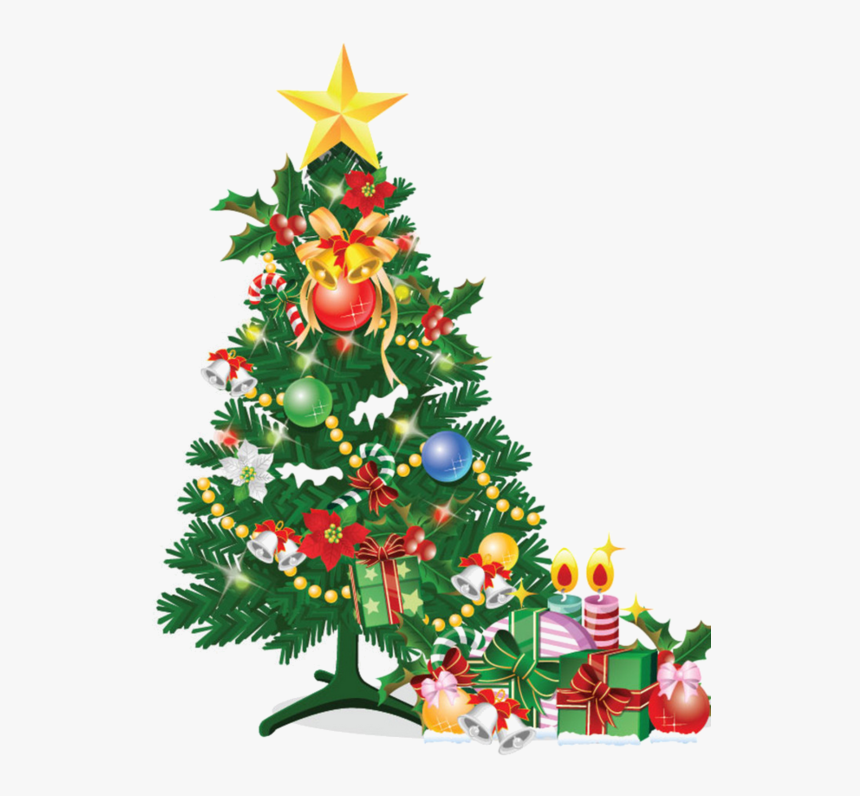 Christmas Trees Vector, HD Png Download