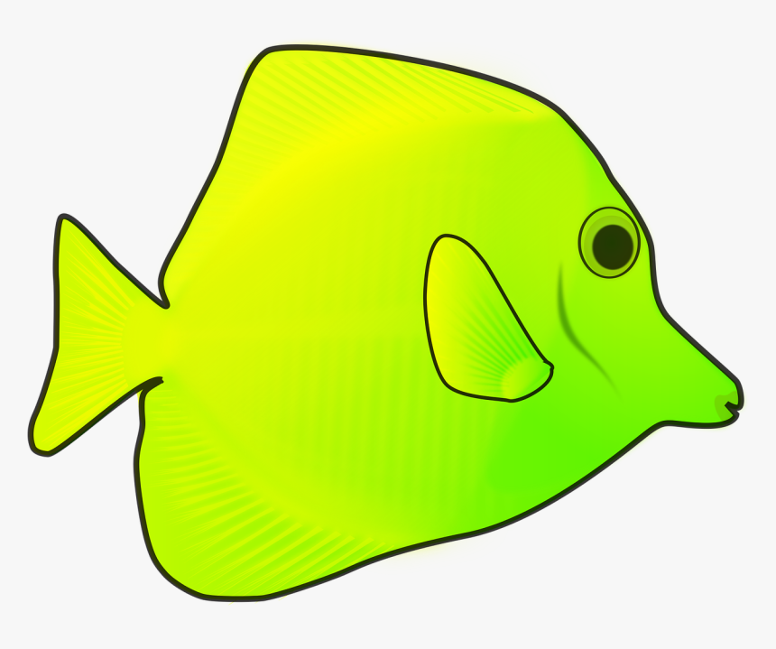 Ocean Coral Reef Png File, Transparent Png