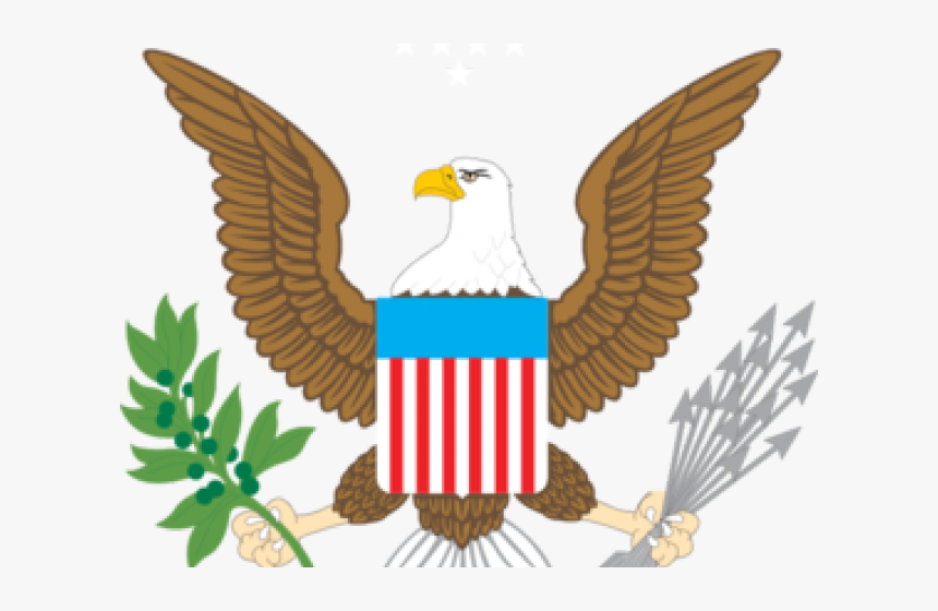Transparent Bald Eagle Png, Png Download