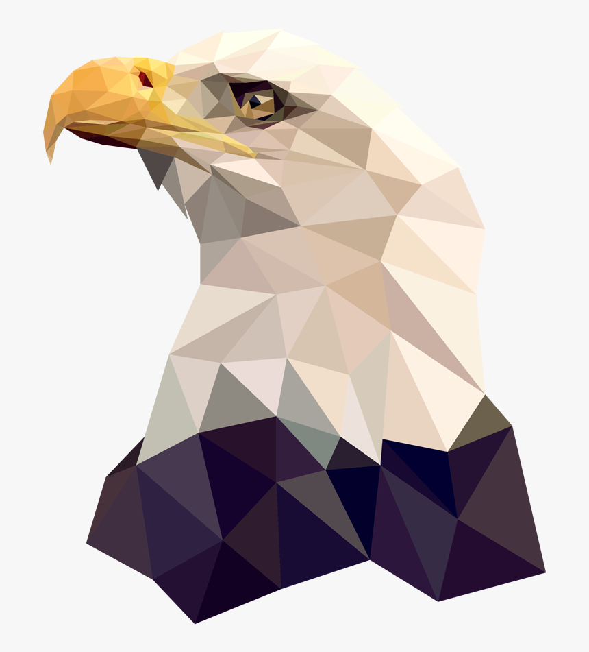 Geo Bald Eagle, HD Png Download