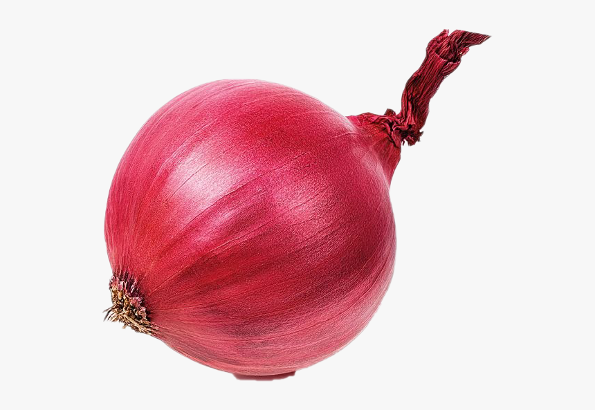 Onion Png, Transparent Png