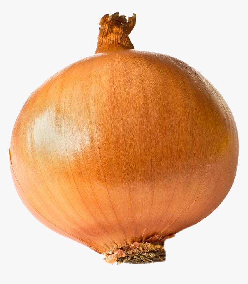 Onion Png, Transparent Png