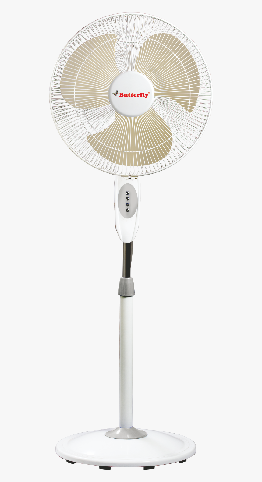 Fan Png, Transparent Png