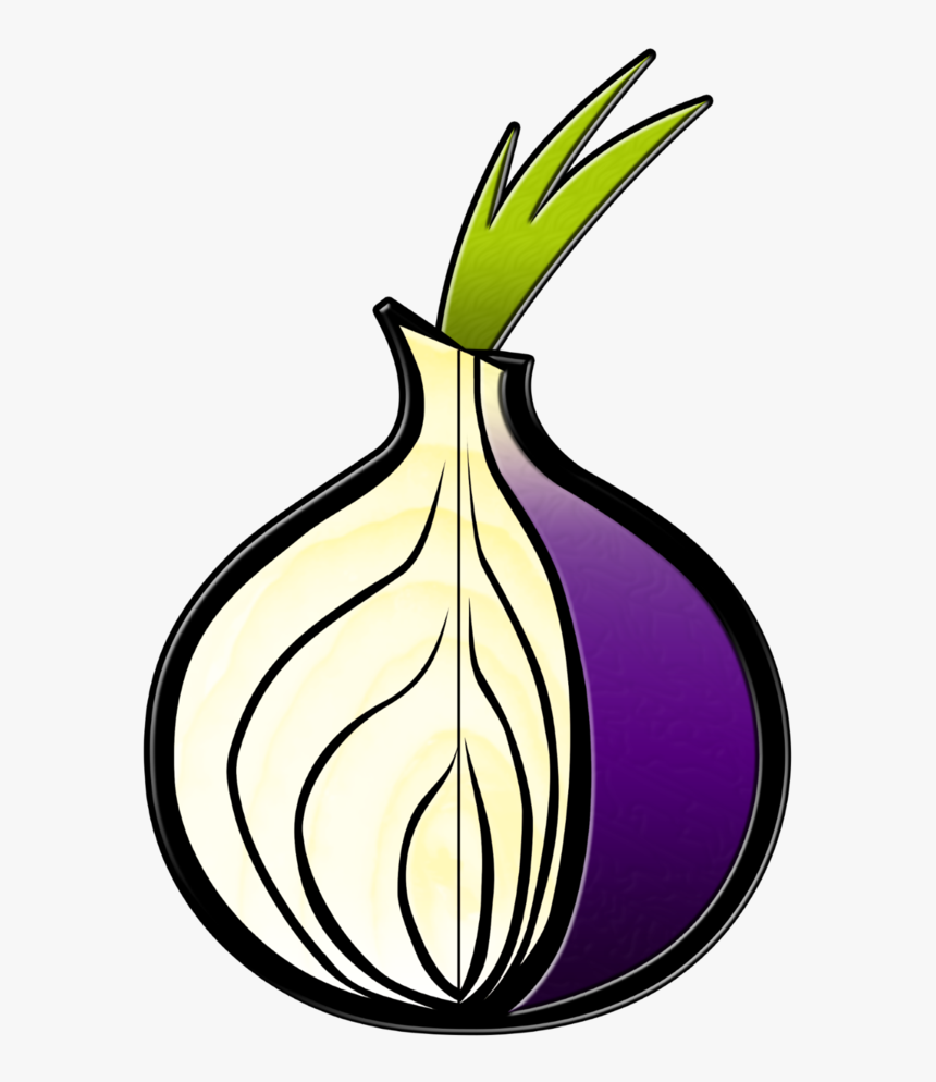 Onion Layers Png, Transparent Png