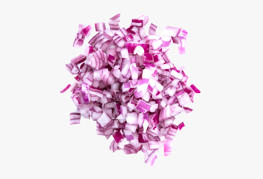 Onion Png, Transparent Png
