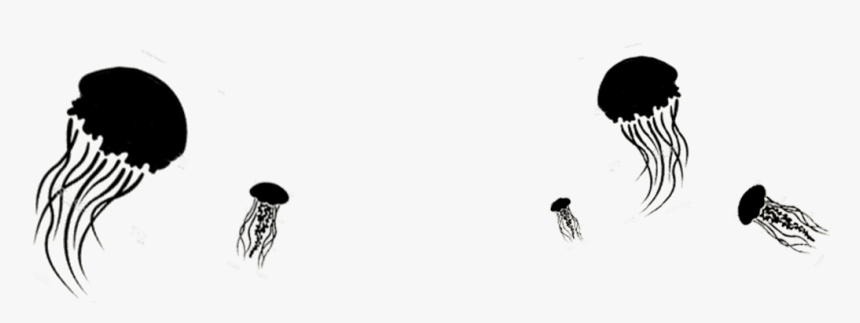 Jellyfish Png, Transparent Png