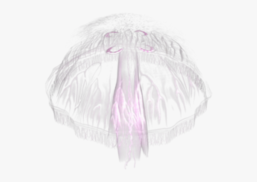 Jellyfish Png, Transparent Png