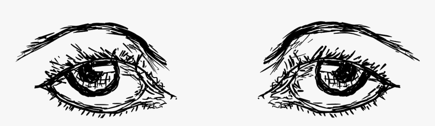 Eyebrows Png, Transparent Png