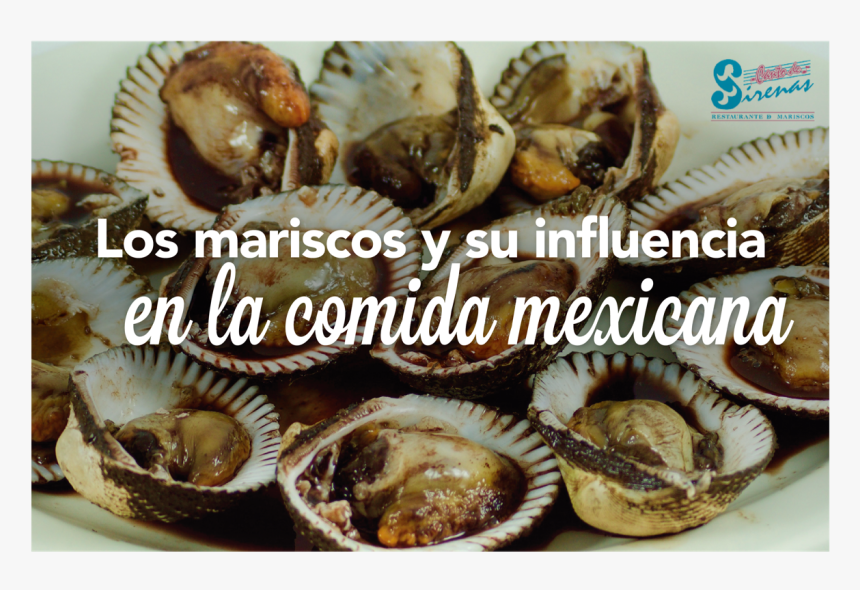 Plato De Pata De Mula, HD Png Download