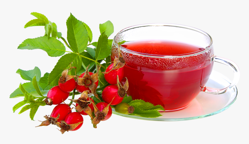 Green Tea Leaf With Cup - Rosehip Tea Png, Transparent Png