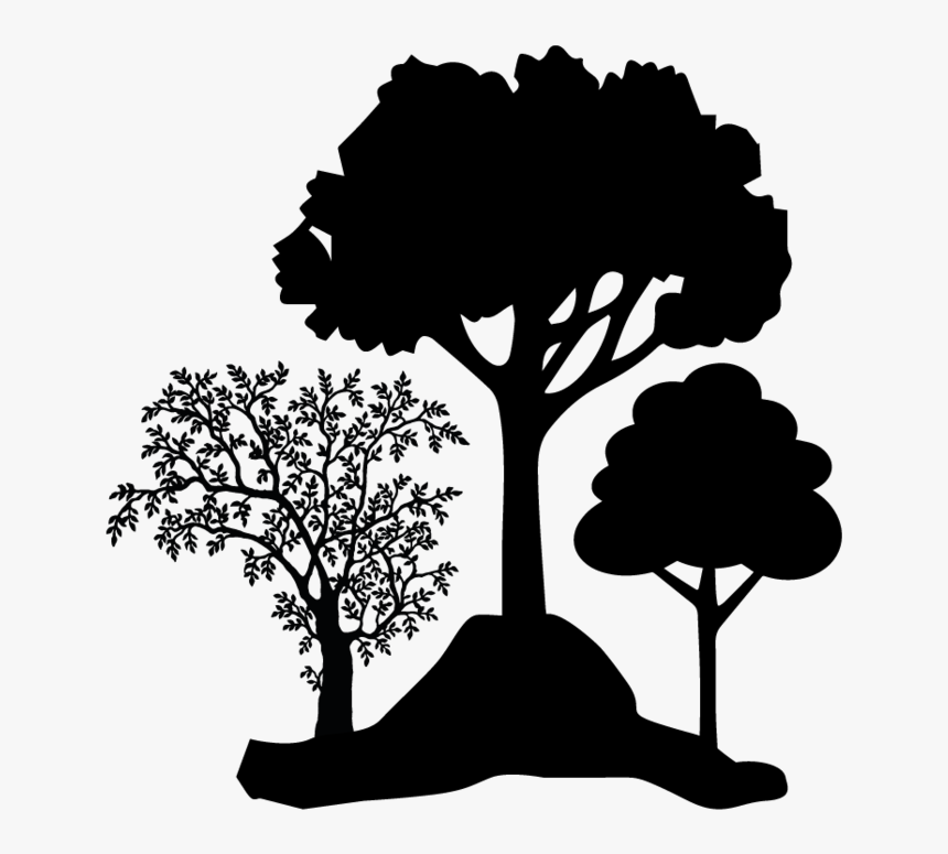 Arboretums - Evolution Of Zip Line, HD Png Download