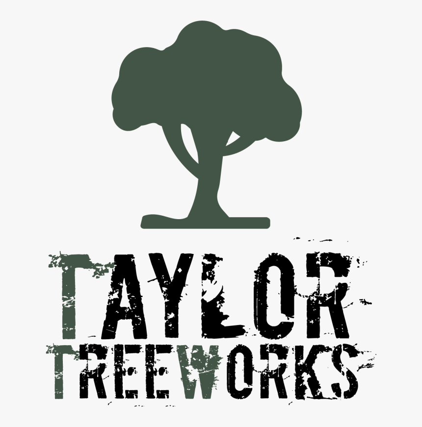 Ttw Logo - Reggae Roots, HD Png Download