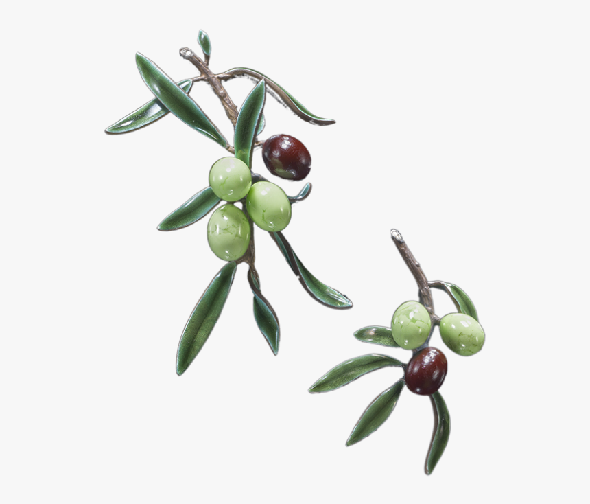 Joyas - Olive, HD Png Download
