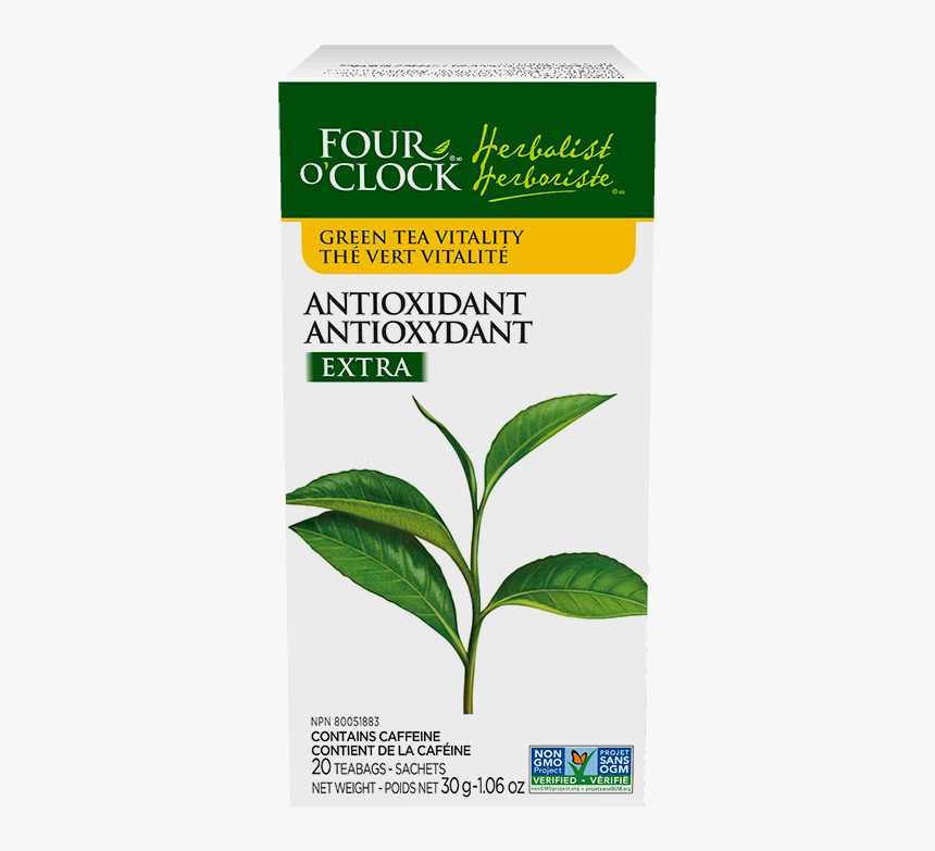 Four O Clock Herboriste, HD Png Download