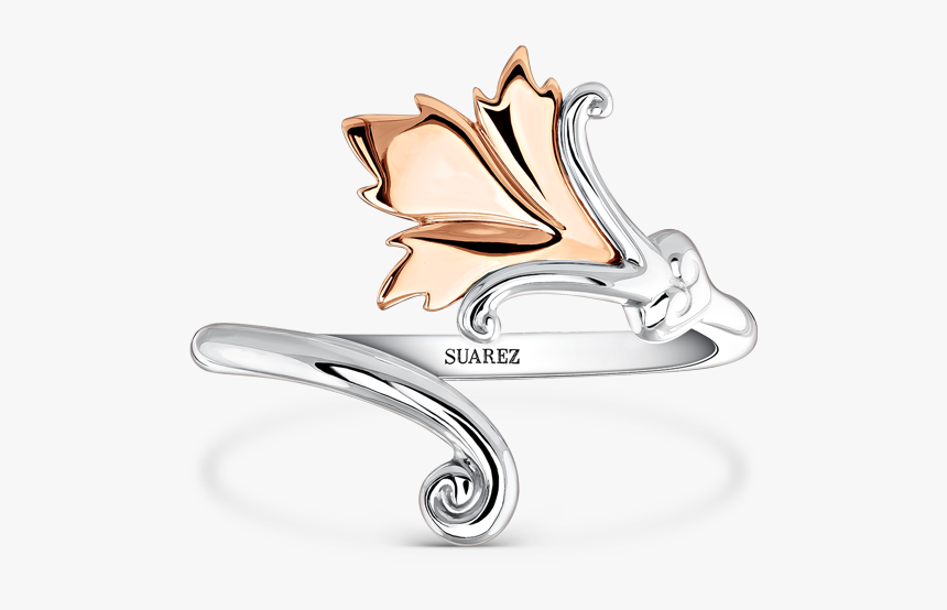 Joyas De La Colección Lady Cotton De Suárez - Titanium Ring, HD Png Download