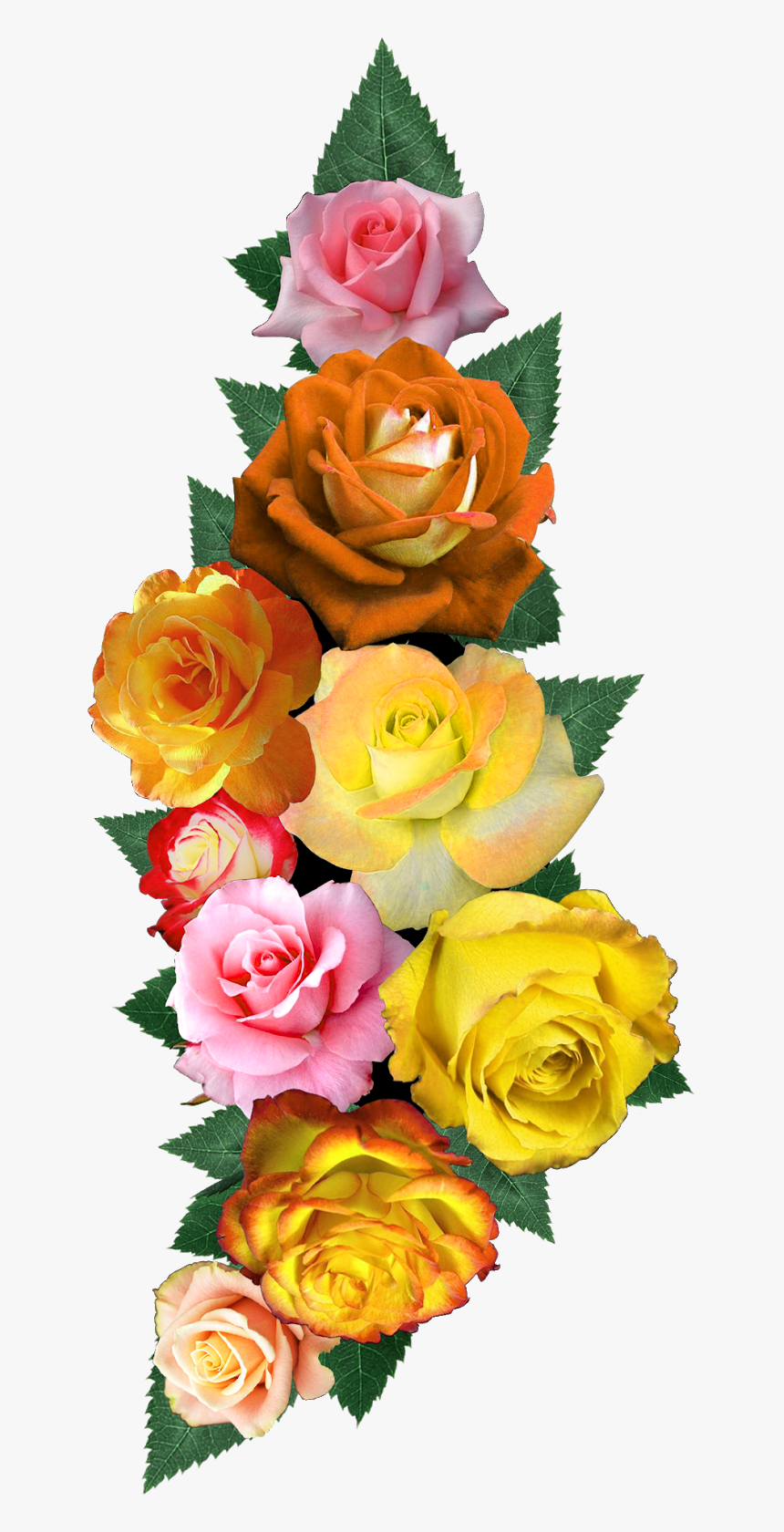 Digital Flower Design, Vector,flower,vector Art,flower - Garden Roses, HD Png Download