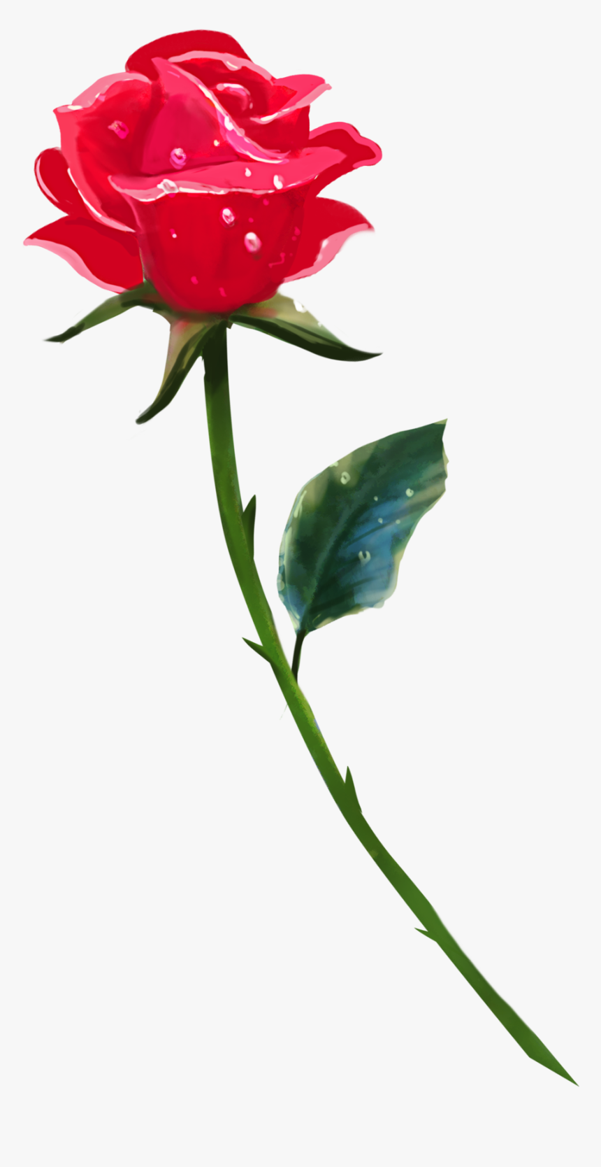 Clip Art Brookegillette Png Pinterest - Rose Flowers Single Png, Transparent Png