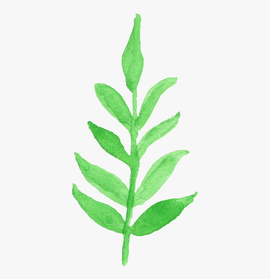 Watercolor Transparent Leaf Clipart, HD Png Download
