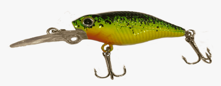 Prickly-pear - Fluo Perch, HD Png Download