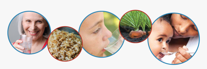 Water Testing Banner Image - Nasi Goreng, HD Png Download