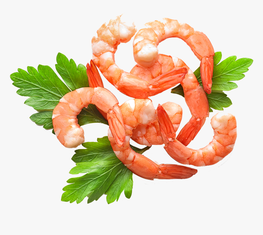 Shrimp Curled Around Decorative Parsley - Scampi, HD Png Download