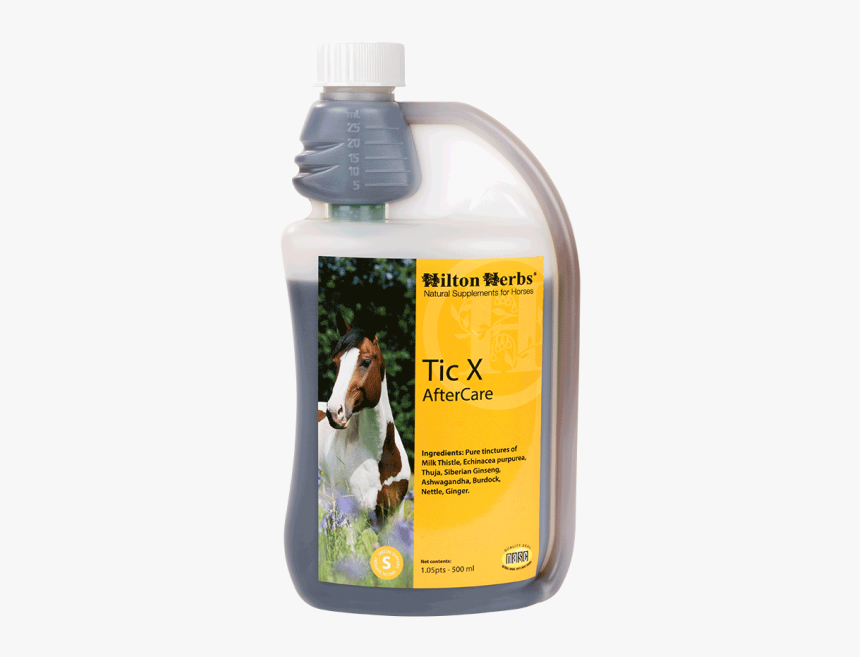 Hilton Herbs, HD Png Download