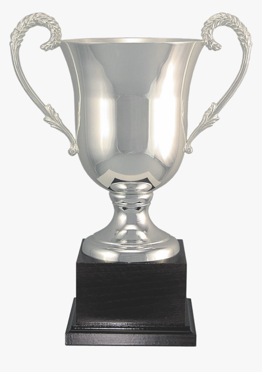 Kisspng Trophy Silver Award Cup Commemorative Plaque - Silver Gold Plated Trophies, Transparent Png