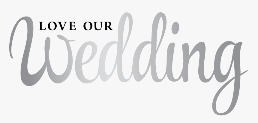 As Seen In - Calligraphy, HD Png Download
