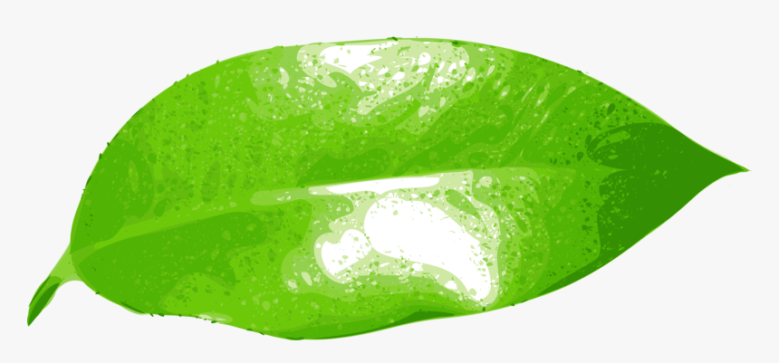 Illustration Of A Leaf, HD Png Download