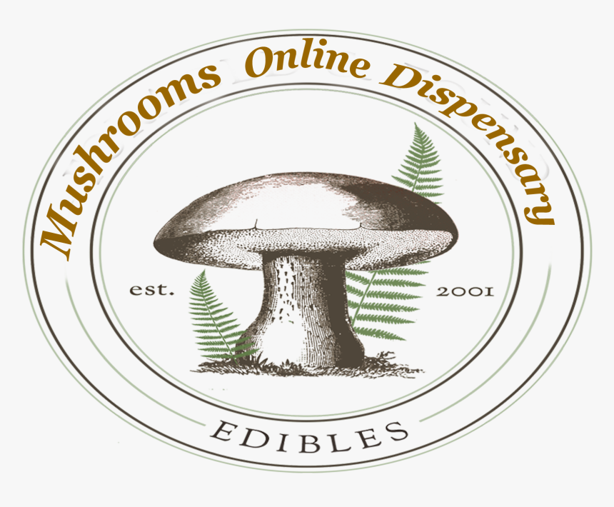 Agaric, HD Png Download