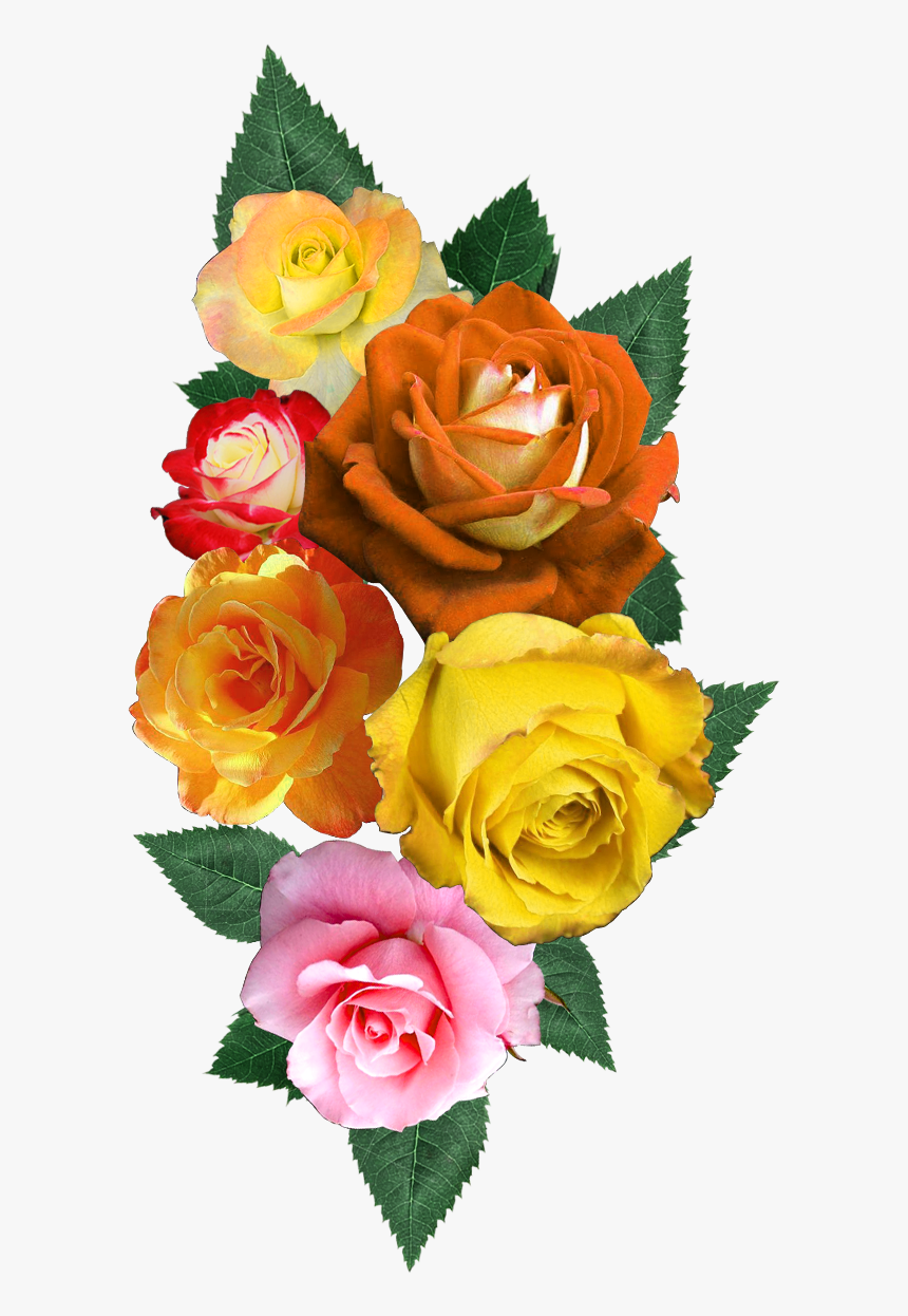 Digital Flower Design, Vector,flower,vector Art,flower - Garden Roses, HD Png Download