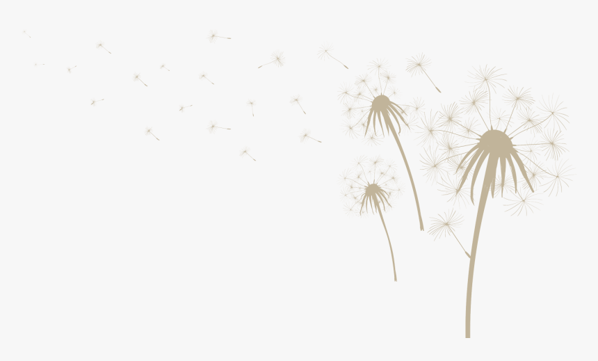 Transparent Recuadro Png - Dandelion, Png Download