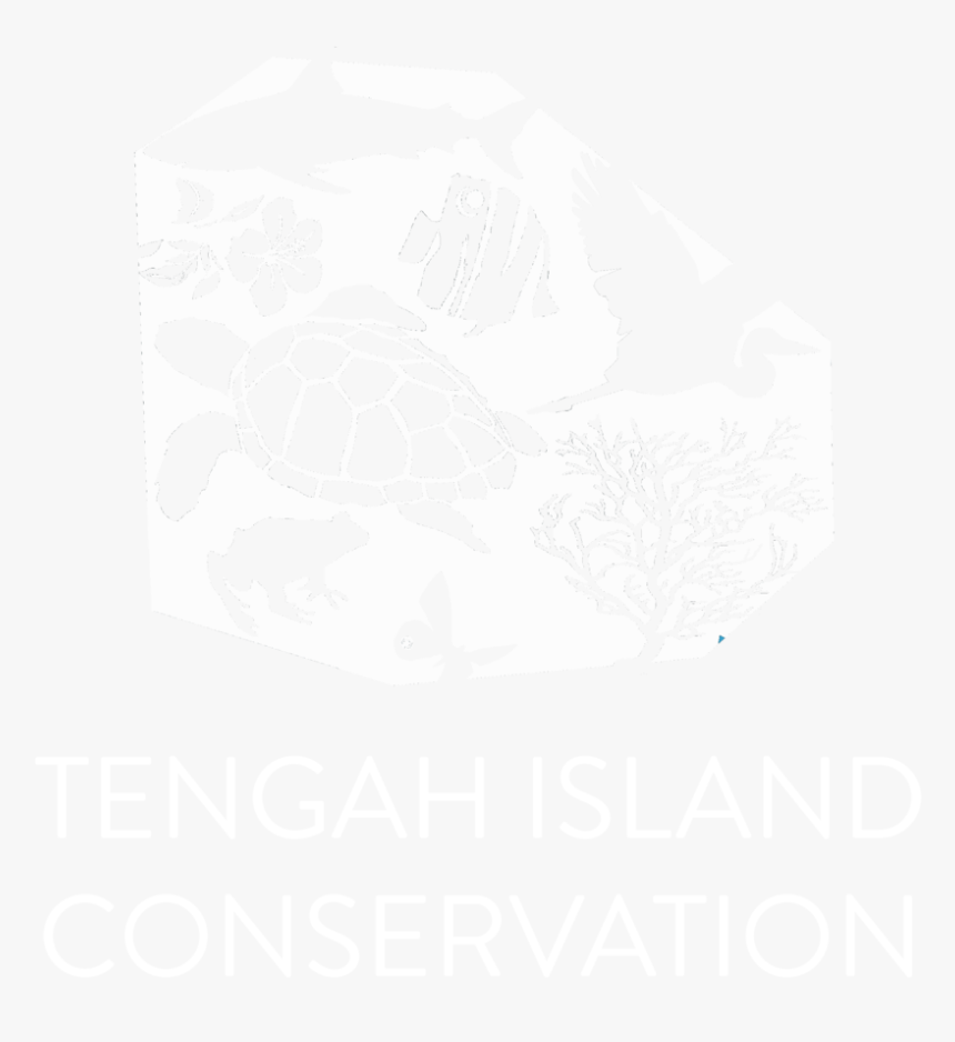 Tic Png, Transparent Png