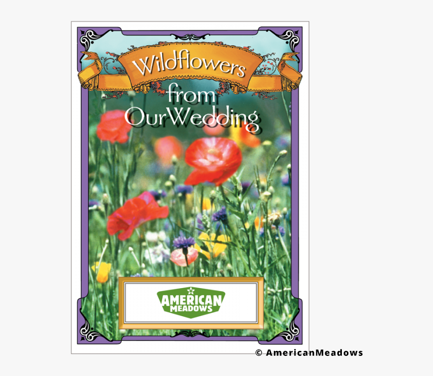 Wildflowers From Our Wedding Seed Packet - Wildflower Seed Packets, HD Png Download