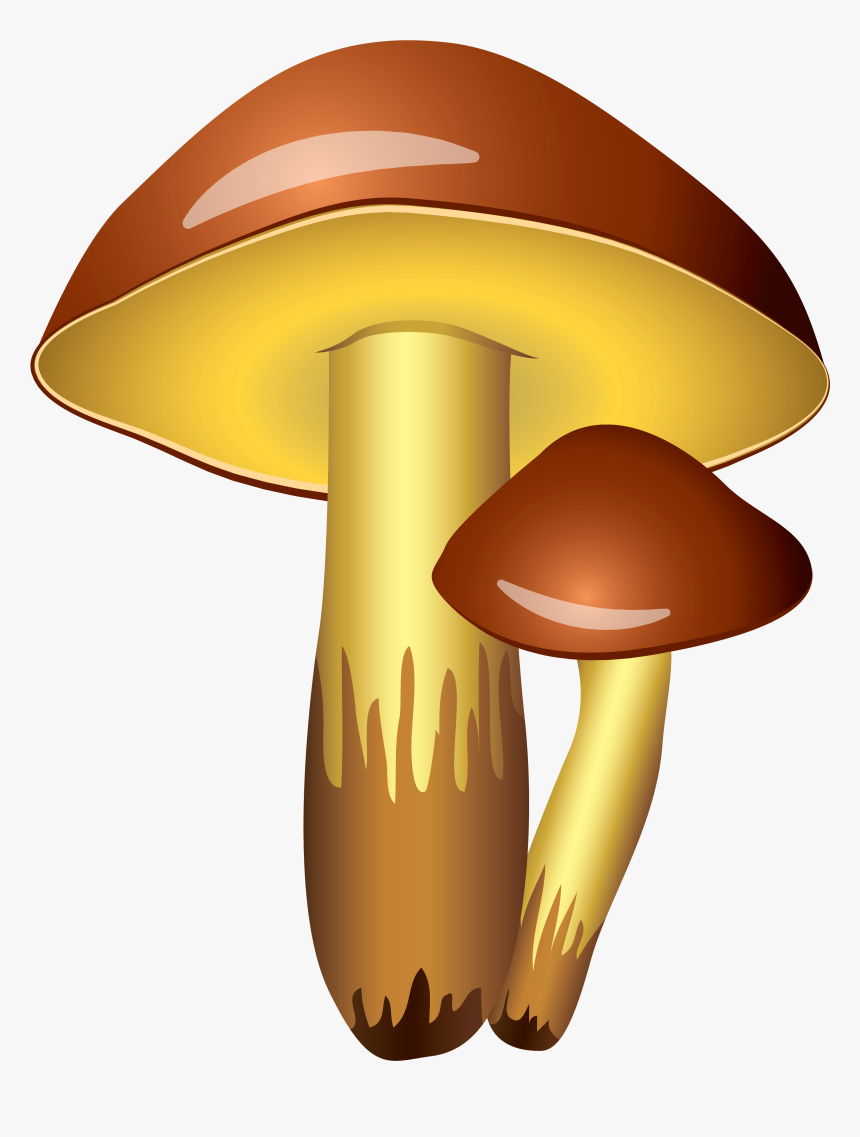 Mushroom Clipart Transparent Background - Clipart Mushroom, HD Png Download